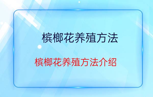 槟榔花养殖方法 槟榔花养殖方法介绍